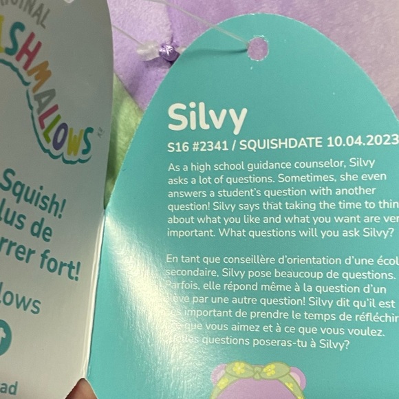 Silvy The Bear 16” Squishmallow - Picture 4 of 4